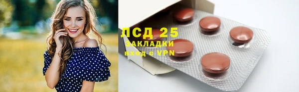 гидра Алексеевка