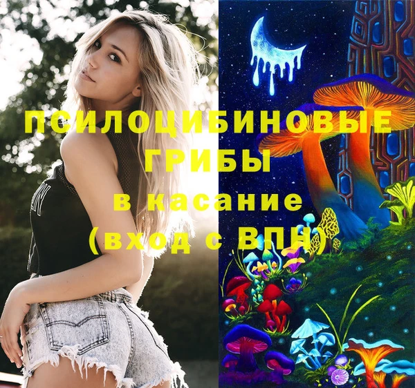 эйфоретик Алзамай