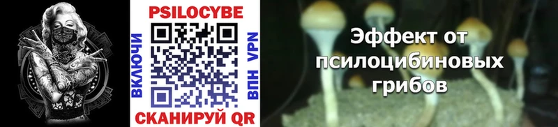 купить наркоту  Старый Оскол  Галлюциногенные грибы Psilocybine cubensis 